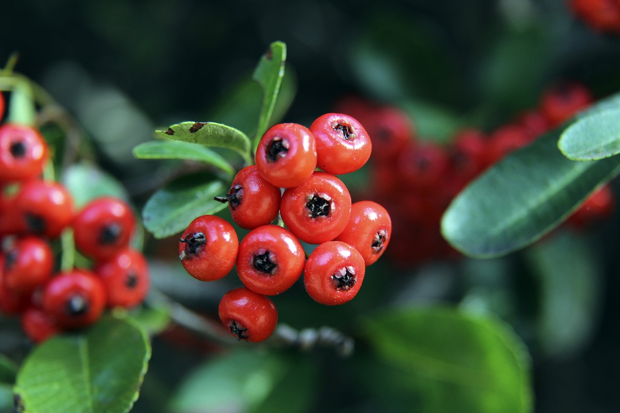 升整体进攻 升整体进攻