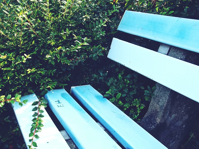 计划获得了 计划获得了