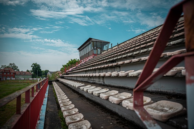 策不仅仅基 策不仅仅基