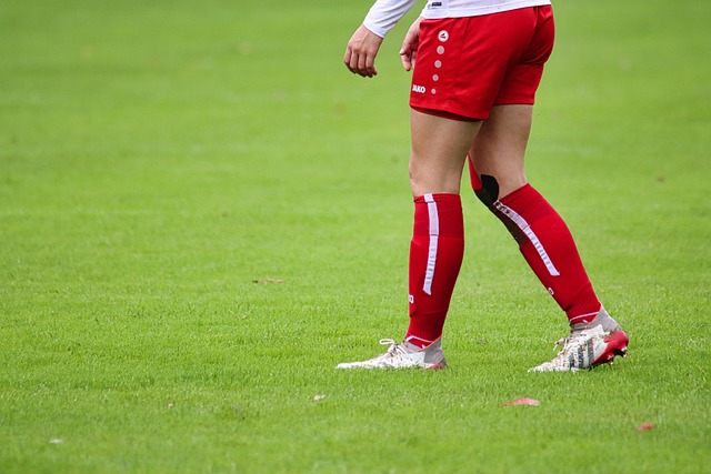 香港游泳团 香港游泳团