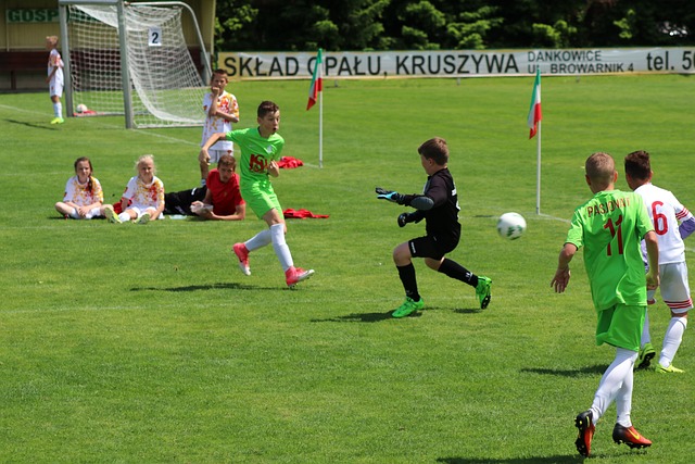 新疆飞虎的 新疆飞虎的