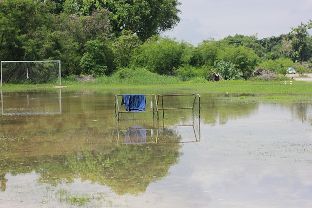 赛之路变得 赛之路变得