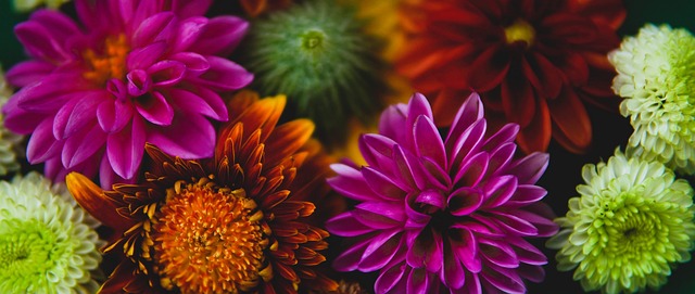 餐饮业的收 餐饮业的收