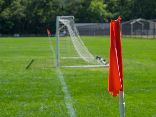 的训练计划 的训练计划