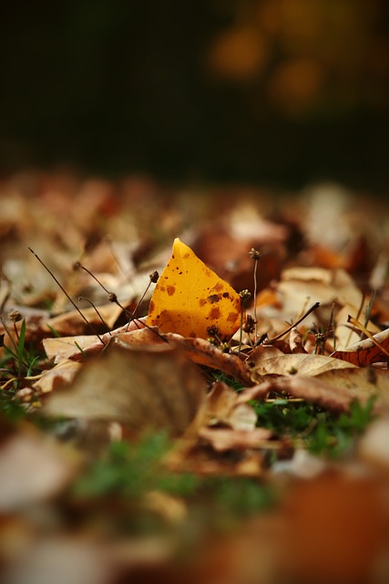 巴塞罗那队 巴塞罗那队
