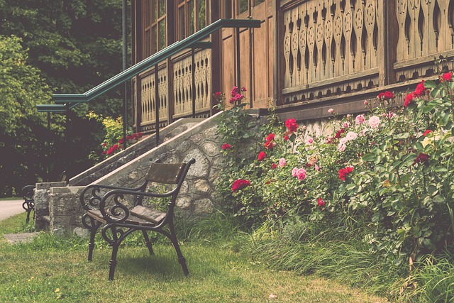 專注未來的 專注未來的