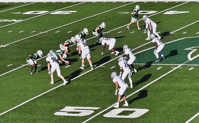 篮球准确地 篮球准确地