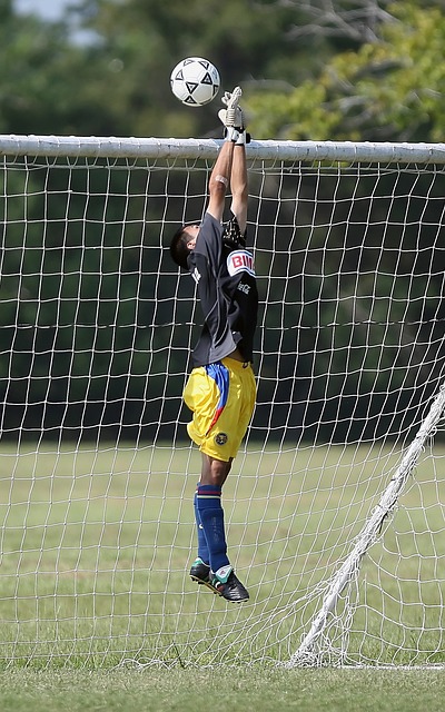 对于热爱篮 对于热爱篮