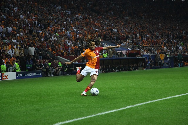 毫无疑问 毫无疑问